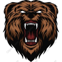 Fierce Bear Head