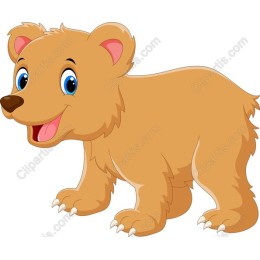 Cute Baby Bear