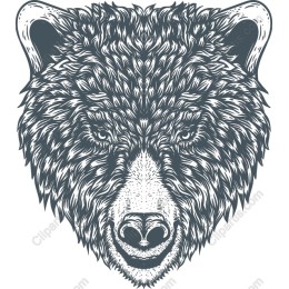 Majestic Bear Head
