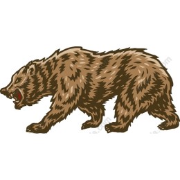 Fierce Bear
