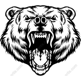 Grizzly Bear Roaring