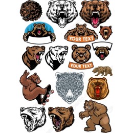 Bear Bundle: High-Quality