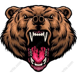 Fierce Bear Head