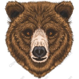 Bear Head