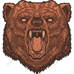 Roaring Bear Head
