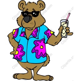 Sunny Bear in Hawaiian Shirt
