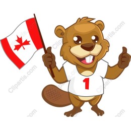 Cheerful Canadian Beaver