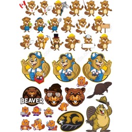 Beaver Bundle