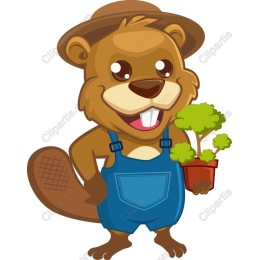 Charming Beaver with Plant