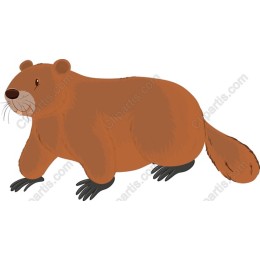 Marmot