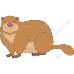 Charming Cartoon Beaver
