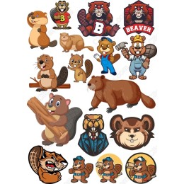Beaver Buddy Set