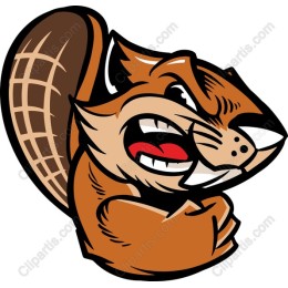 Angry Squirrel