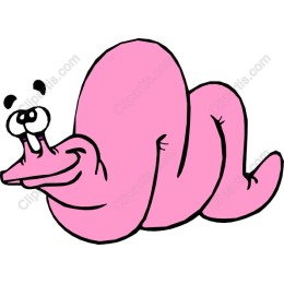 Adorable Pink Snail