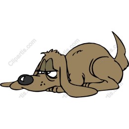 Lazy Dog
