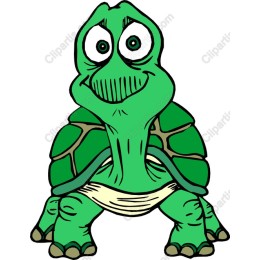 Charming Cartoon Turtle