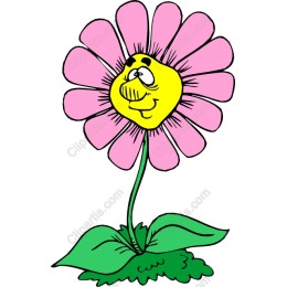 Smiling Daisy