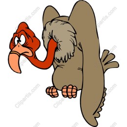 Quirky Cartoon Turkey
