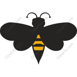 Premium Bee