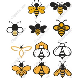 Bee Collection