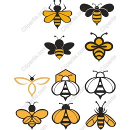 Bee Collection