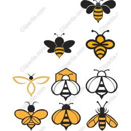 Bee Pack - Versatile Bee