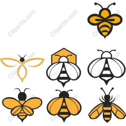 Bee Collection