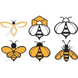 Bee Collection Set