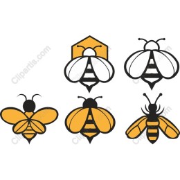 Bee Collection