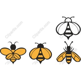 Bee-Inspired Collection
