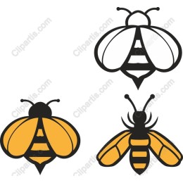 Bee Bliss: Unique s