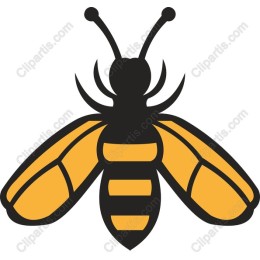 Bee - Elegant Yellow and Black