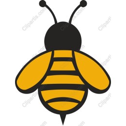 Charming Bee