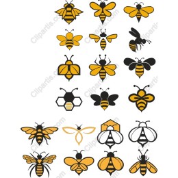 Vibrant Bee Set