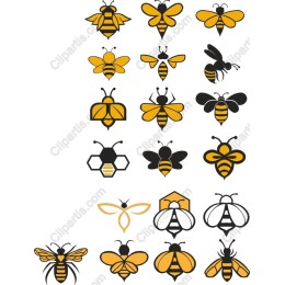 Bee Collection Set
