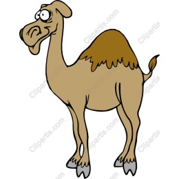 Cartoon Camel