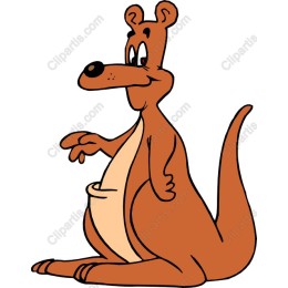 Cheerful Kangaroo
