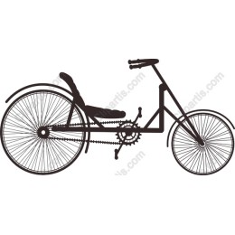 Recumbent Bicycle