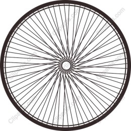 Bicycle Wheel