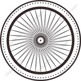 Bicycle Wheel