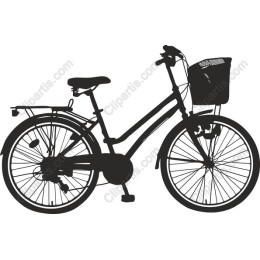 Classic Bicycle