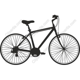 Sleek Bicycle