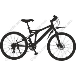 Premium Mountain Bike