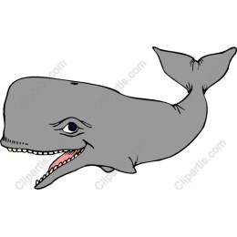 Charming Sperm Whale
