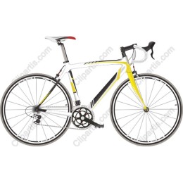 Sleek Road Bicycle