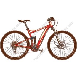 Mountain Bike /