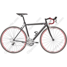 Sleek Racing Bicycle