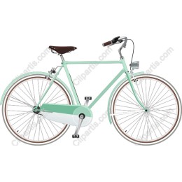 Mint Green Bicycle