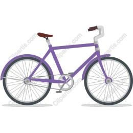 Purple Bicycle