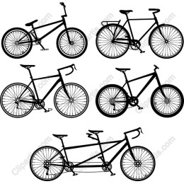 Premium Bicycle Collection